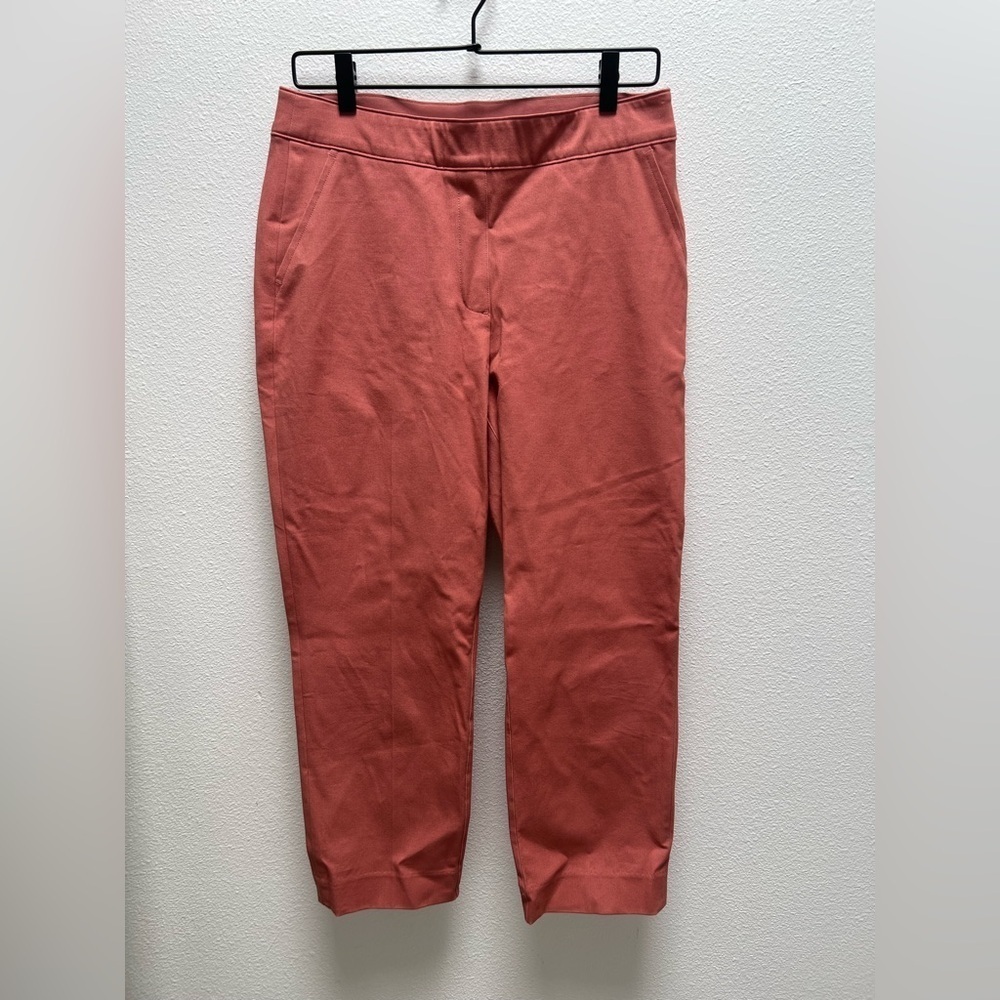 Spanx Ankle Slim Straight Pant
Terracotta Pink Size M